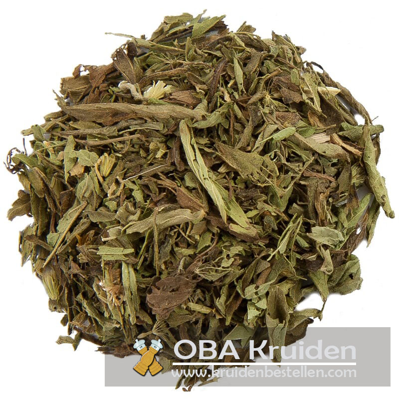 Stevia blad (honingkruid) bestellen Stevia blad (honingkruid) bestellen